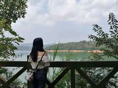 -广州市流溪河国家森林公园