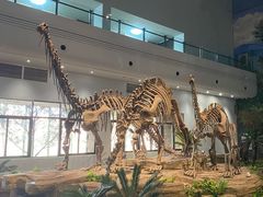 -自贡恐龙博物馆