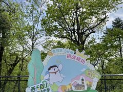 -天目山大树王景区