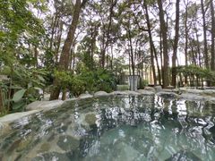 -金方森林温泉