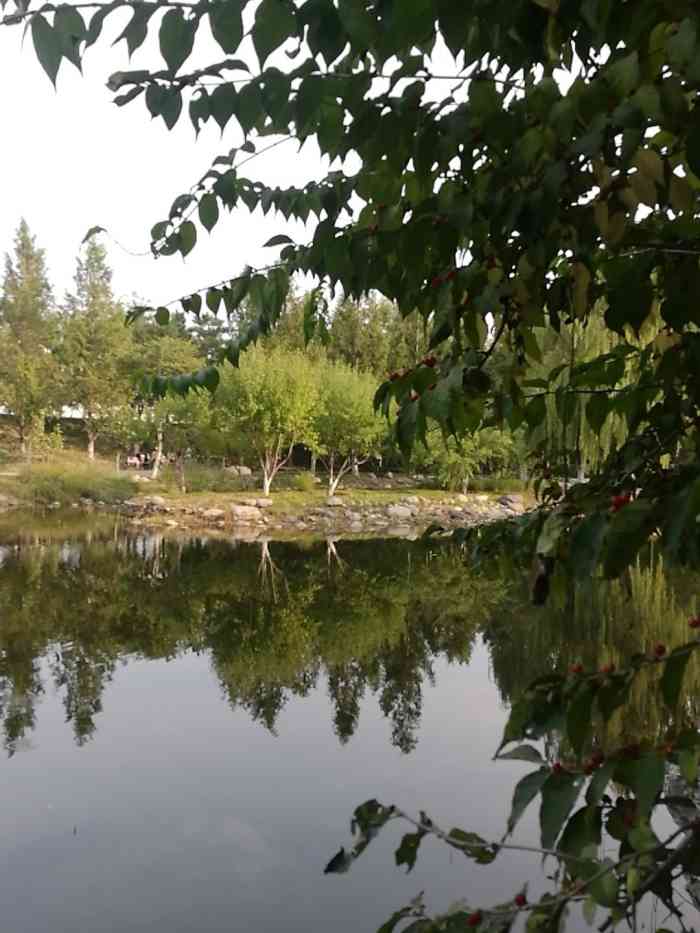 商务富锦公园-"离松美术馆不是很远,可以路过,一路开过来.