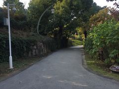 -白马涧龙池景区