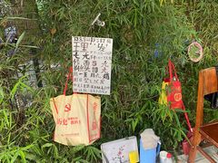 -成都市活水公园