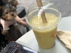 -Wagas沃歌斯(大学路店)