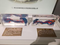 -陕西自然博物馆