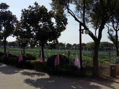 -上膳源有机农场