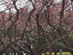 -白塘生态植物园