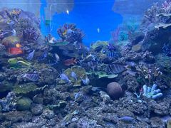 -常州海昌海洋探索馆