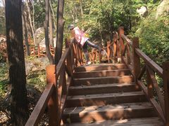 -大岭沟猕猴桃谷风景区
