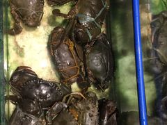 -Isla Sugbu Seafood City