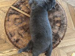 -Me Coffee下午茶艺术空间