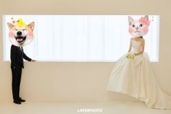 点击看大图 -帆拉斐婚纱摄影(春熙店)