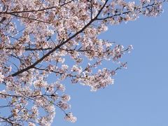 -龙美术馆(西岸馆)