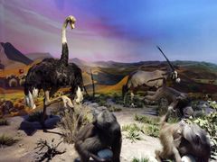 -国家自然博物馆