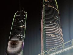 -演武大桥观景平台