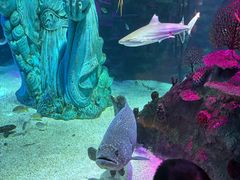 -沈阳海洋探索中心