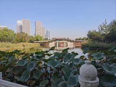 -西海子公园