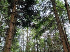 -山王坪喀斯特国家生态公园