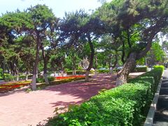 -沈阳药科大学