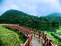-广州市石门国家森林公园