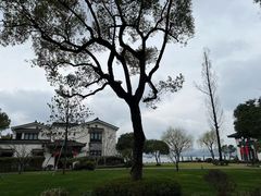 -杭州西湖柳莺里酒店·闻莺厅