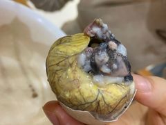 活珠子-阊门姚记豆浆(旧学前直营店)