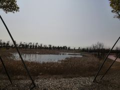 -春花秋色城市公园