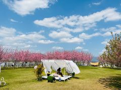 -福建鲤鱼洲酒店