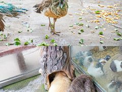 -欢乐海岸海洋奇梦馆