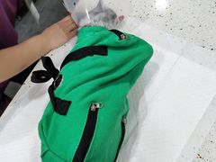 -宠爱国际动物医院·疑难骨科·心肾内科·皮肤科(太阳宫店)