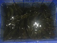 -白洋淀灶台鱼(名佳花园店)
