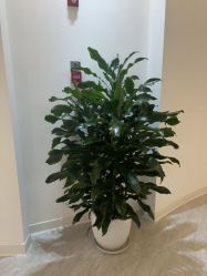 -天津伊美尔医疗整形美容专科医院