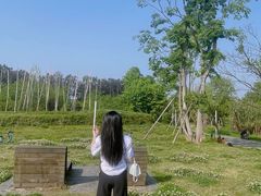 -白鹭湾湿地公园