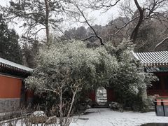 -北京植物园-展览温室