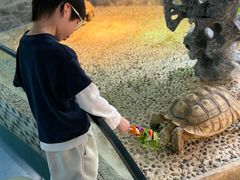 -上海大自然野生昆虫馆(东方明珠·爬宠昆虫探索中心)