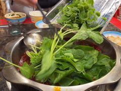 -金鼎雪山牦牛杂火锅(理县总店)