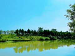 -合肥滨湖国家森林公园