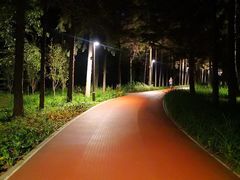 -长春市南湖公园