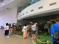 -陕西自然博物馆