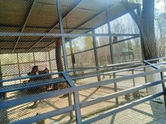 -长白岛森林公园