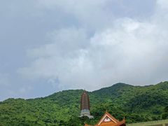 -深圳仙湖植物园