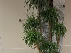 -涿掌柜·涿州宴