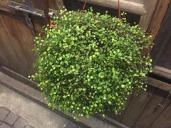 -阿木舂记·特色小吃(平江路店)