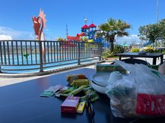 -汕头中海黄金海岸水上乐园