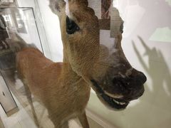 -中国湿地博物馆