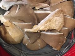 -谭鸭血老火锅(漳州路店)