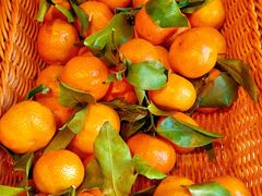 -1516串串香·自助火锅(新华大街店)