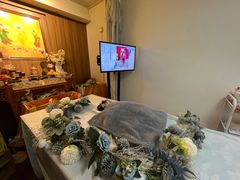 -翡翠森林宠物火化殡葬(通州店)