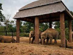 -清迈夜间动物园