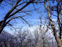 -秦岭终南山世界地质公园翠华山景区
